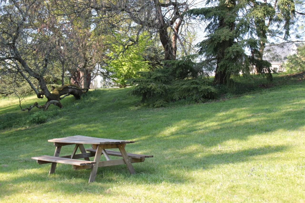La Poignardiere Chatillon-sur-Indre Экстерьер фото